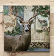 Wildwood Deer Canvas 