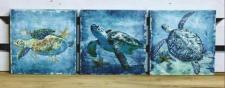 Sea Turtle Block Signs (3 Asst.)