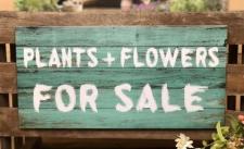 Plants & Flowers For Sale Sign 