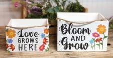 Bloom and Grow Boxes (Set of 2)