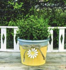 Daisy Container 
