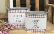 Bloom & Grow Oval Canisters (Set of 2)