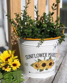 Orange Rim Sunflower Bucket 