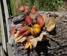 Fall Pumpkin Pinecone Pick 
