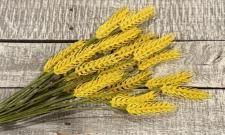 Yellow Wheat Bunch 