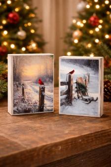 Winter Cardinal Blocks (2 Assorted)