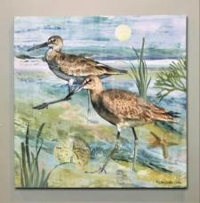 Brown Shorebirds Canvas 