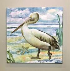Shorebird Pelican Canvas 
