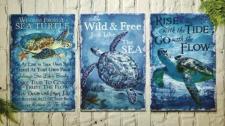 Sea Turtle Tin Signs (3 Asst.)