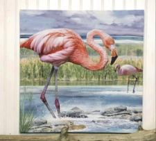 Flamingo Canvas 