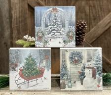 Winter Wonderland Blocks (3 Asst)