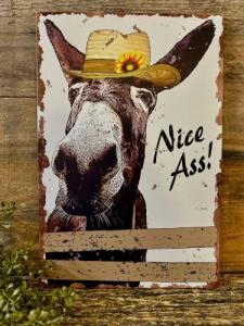 Nice A** Tin Sign 