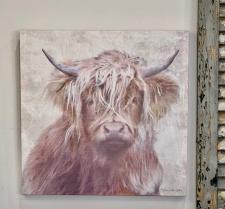 Highland Cow Canvas