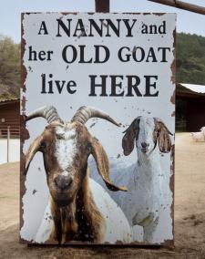 Old Goat Tin Sign