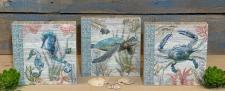 Sea Life Block Signs (3 Assorted)