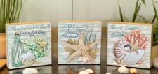 Beach Block Signs (3 Assorted)