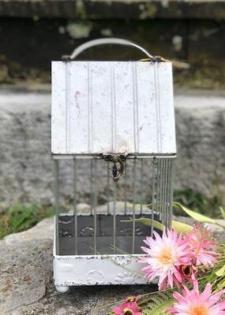 Bird House Lantern .