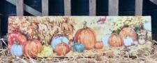 White Distressed Frame Pumpkin Canvas Picture 