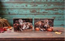 Highland Cow/Pumpkin Blocks (2 Assorted)