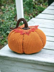 Mustard Knit Pumpkin Large 