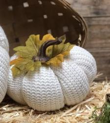 White Knit Pumpkin Medium 