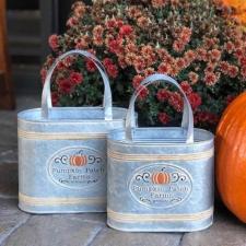 Pumpkin Patch Galvanized Bags (set 2)