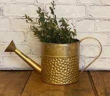 Gold Finish Hammered Watering Can