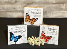 Butterfly Blocks (3 Assorted) 