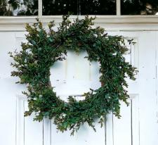 Boxwood Wreath 