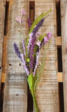 Purple Veronica Pick 
