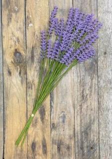 Lavender Calluna Bunch 