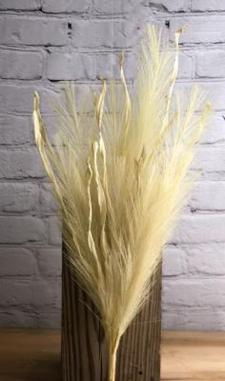 Cream/Raffia Pampas Grass Spray 