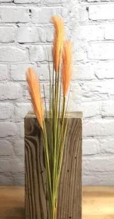 Coral Pampas Spray Feather 
