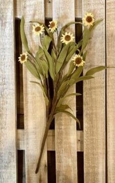 Fall Rustic Daisy Pick 