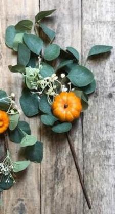 Eucalyptus Pumpkin Pick 